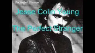 Jesse Colin Young - The Perfect Stranger