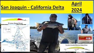 Early April - San Joaquin River - Edos- California Delta - Striper Fishing