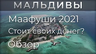 Бюджетные Мальдивы. Маафуши в 2021. Отель Kaani Palm Beach. Обзор острова, пляжей и развлечений.
