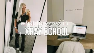 all about x-ray school: application process, clinical, + first semester advice