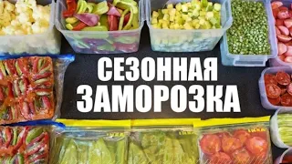 Сезонная Заморозка Овощей и Дыни На Зиму🍆🌽🫑🍅🍈.Овощные Смеси.Что я заготовила #shorts