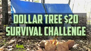 Dollar Tree $20 Survival Challange