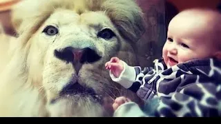 Funny Kids and Animals at the Zoo - Funny Kids Fails Vines | Cute Animal World