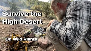 Surviving the High Desert:  Thriving on Wild Plants Part 1 (Minimal Gear Including a Pick Mattock)