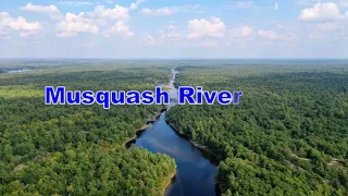 Longuissa & Musquash River Sept, 2019