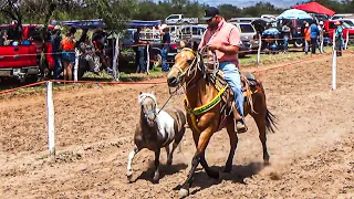 Agarrón De Ponis Nunca Antes Visto!!