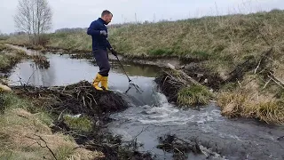 Expedition #16 | Beaver dam removal. Massive waterfall. Strong stream. Old dam.