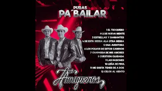 Los Amigueros De La Sierra - Puras Pa Bailar