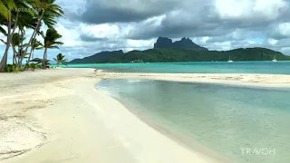 Private Island Paradise | Tropical Nature | Motu Tane Bora Bora, French Polynesia 🇵🇫 | 4K UHD Travel