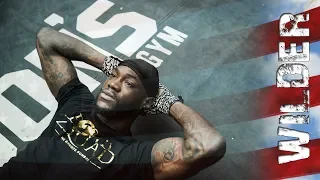 Деонтей Уайлдер  Deontay Wilder | Knockout