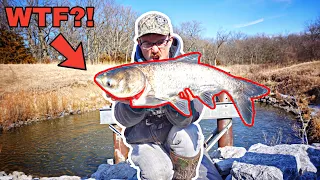 Removing INVASIVE Fish From TINY SPILLWAY!!! (Catch, Clean, Cook)