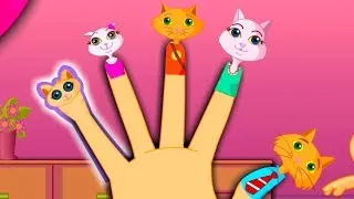 The Finger Family Cat Family Nursery Rhyme | Kids Animation Rhymes Songs