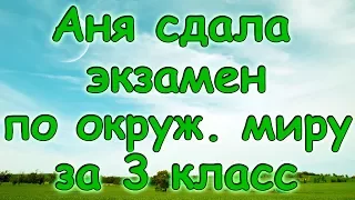 Семья Бровченко. Аня сдала экзамен за год по Окруж. миру (3кл.) (10.15г.) (рел.)