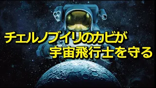 カビが放射線から宇宙飛行士を守る！？チェルノブイリから思わぬ発見