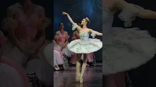 classical Russian ballet The Nutcracker