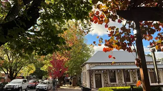 Hahndorf Walking Tour Autumn 2024 | German Village | Adelaide, South Australia 4K