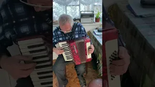 Weltmeister Stella piano accordion, 1/2 accordion, 32 Bass, 26 keys, 2 voices, Musical instrument