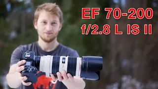 Völlig unterbewertet? EF 70-200mm f/2.8 L IS II - Langzeiterfahrungsbericht Tierfotografie (Review)