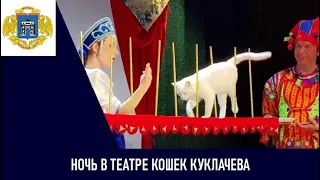 Ночь в Театре Кошек Куклачева