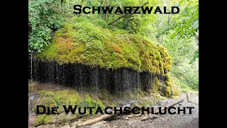 Schwarzwald - Die Wutachschlucht
