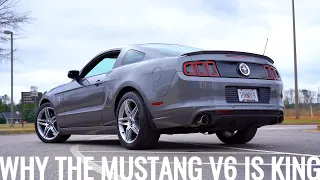 Why the V6 Mustang is Still BEST in 2020.