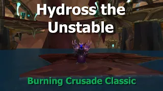 Hydross the Unstable--Serpentshrine Cavern--Orc Warlock--TBC Classic