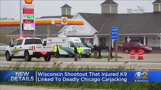 Wisconsin Shootout That Injured K9 Linked To Deadly Chicago Carjacking