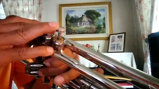 La Paloma Julio Iglesias trumpet cover