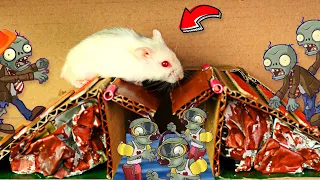 EXCITING 🐹Hamzi vs Zombies || Pets in real life🐹Hamster stories#shorts