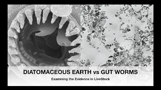 DIATOMACEOUS EARTH vs GUT WORMS; Comparing the Evidence | Sez the Vet