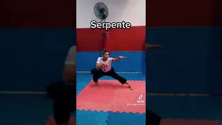 Estilos de Animais no Kung Fu, autênticos e adaptados😂🤣