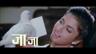 Kabootar Ja Ja Ja | Maine Pyar Kiya | Salman Khan | Bhagyashree | S. P. Balasubrahmanyam | Lata |