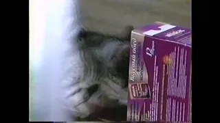 Whiskas. Вкусный обед 12 порций. 2002. Реклама [ru]