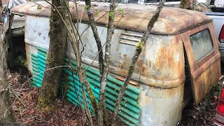 1958 Volkswagen Bus LEFT OUT IN THE WOODS! (VW split window panel van)