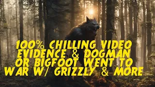 DOGMAN, CHILLING VIDEO EVIDENCE & DOGMAN OR BIGFOOT WENT TO WAR W/ A GRIZZLY & MORE