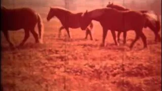 «Осень» - «Центрнаучфильм» 1970г.
