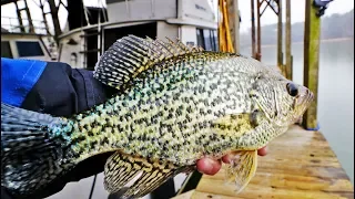 HUGE CRAPPIE While Fishing MARINA DOCKS! (LOADED)