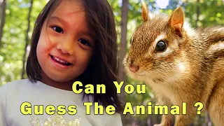 Can You Guess the Animal? Fun Classroom Games | Early Literacy | Early Childhood Education| LearnLee