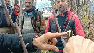 Grafting in Plants with Expert l पौधों में कलमें लगाना सीखें दस मिनट में l Grafting in winter Plant_