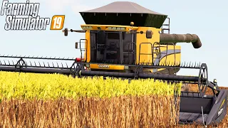 O ARROZ RENDE MUITO | Farming Simulator 19 | Fazenda Porto Barrinha - Episódio 41