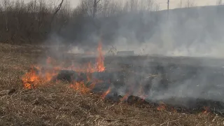 На Камчатке начали подготовку к природным пожарам и паводкам