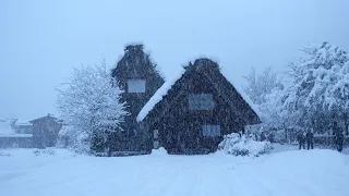 [Walking Japan] : "Shirakawa go" in a blizzard - world heritage