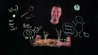 Mind blown by microbes: Short explainer why?