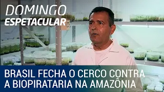 Governo brasileiro fecha o cerco contra a biopirataria na Amazônia