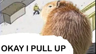 Capybara ok I pull up hop out at the after party