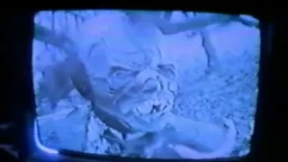 "LA MUERTE VIAJA EN VIDEO" (1987)