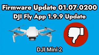 DJI Mini 2 Updates / Firmware 01.07.0200 / DJI Fly App 1.9.9 Update