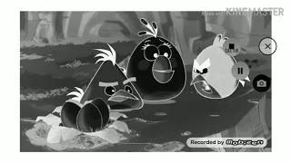 All angry birds screams in black and white invert pitch shift+12 reversed