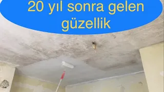 20 yıl sonra gelen güzellik