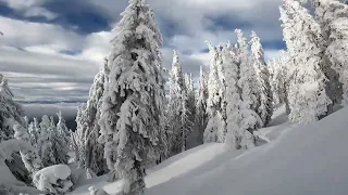 More NYE Powder at Big White Ski Resort